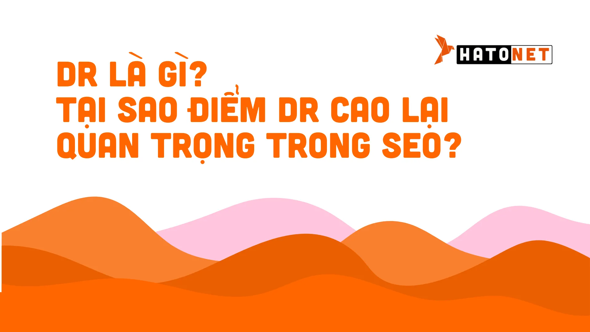 dr-la-gi-tai-sao-diem-dr-cao-lai-quan-trong-trong-seo