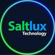 Công ty Cổ phần Saltlux Technology